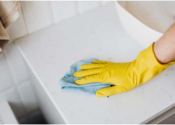 Professional Cleaning Service