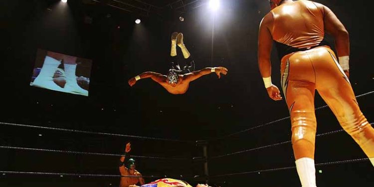 Online Pro Wrestling Museum