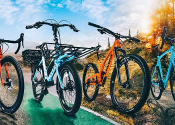 Riding into Savings: Bicycle Ownership Made Affordable with EMI