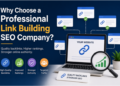 Why Choose a Professional Link Building SEO Company?