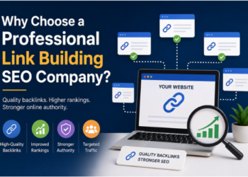 Why Choose a Professional Link Building SEO Company?
